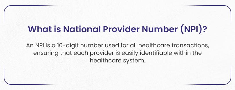 apply for an NPI